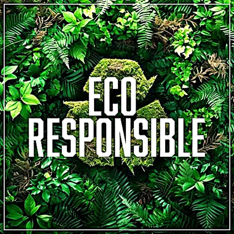 eco responsible (1)